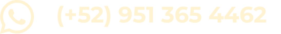 Recurso 55